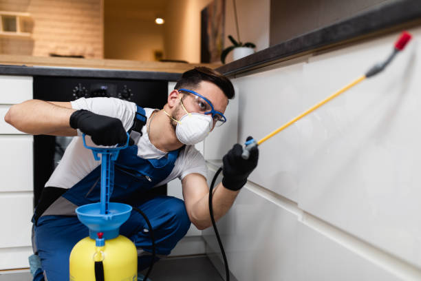 Best Exterminator Services  in Palos Heights, IL