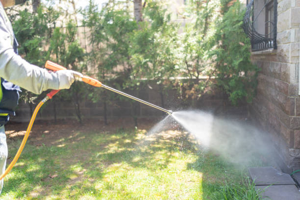 Best Pest Control Treatment  in Palos Heights, IL