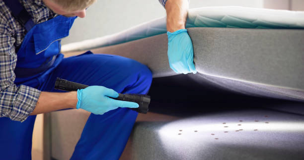 Flea Control Services in Palos Heights, IL