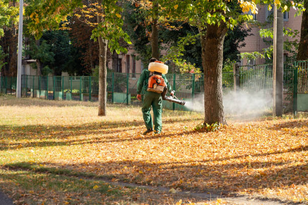 Best Residential Pest Control  in Palos Heights, IL