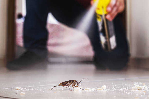 Professional Pest Control in Palos Heights, IL