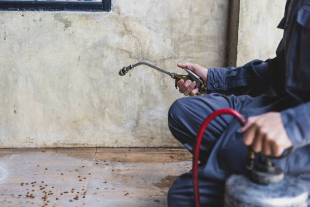 Best Mosquito Control Services  in Palos Heights, IL